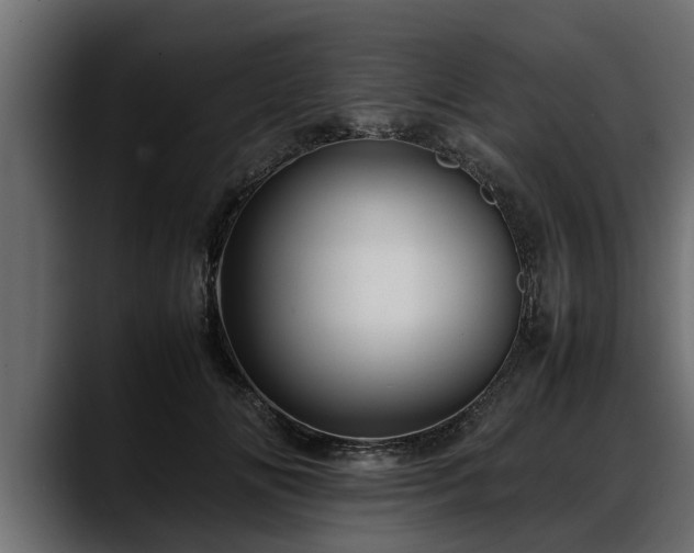 X0000088360702200705291307