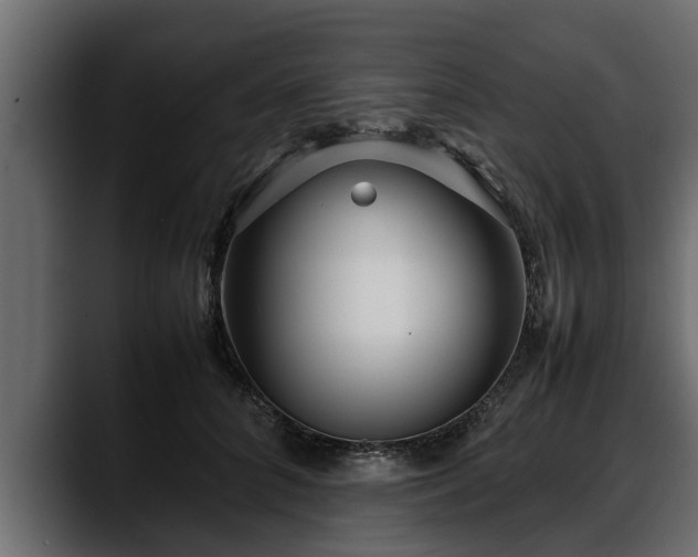 X0000088360704200705291307