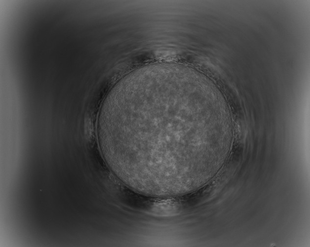 X0000088360705200705291307