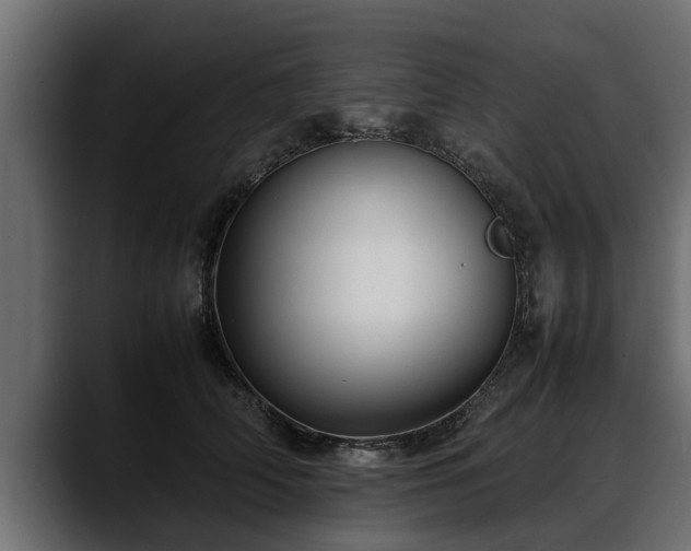 X0000088360706200705291307