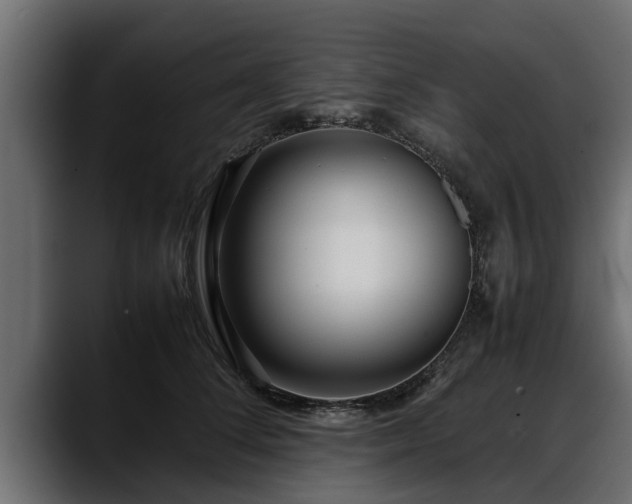 X0000088360708200705291307