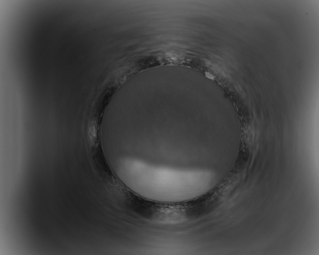 X0000088360709200705291307