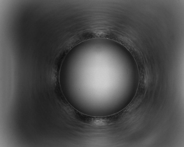 X0000088360710200705291307