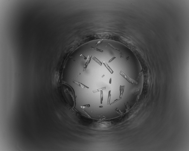 X0000088360711200705291307