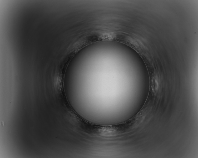 X0000088360714200705291307