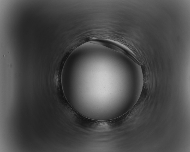 X0000088360715200705291307