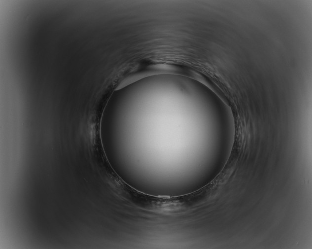 X0000088360716200705291307