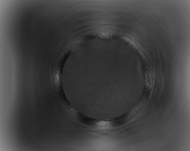 X0000088360718200705291307