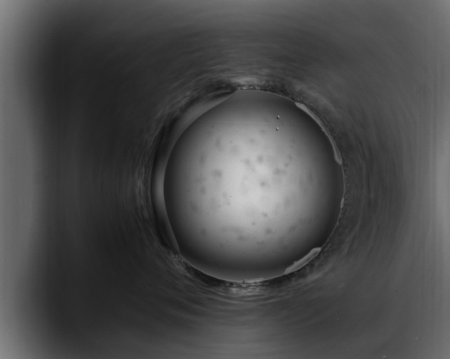 X0000088360720200705291307