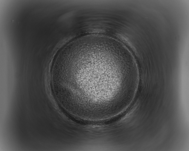 X0000088360721200705291307