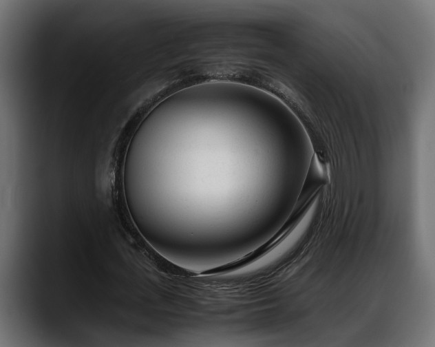 X0000088360723200705291307