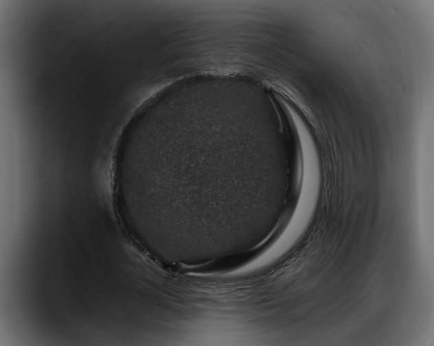 X0000088360724200705291307