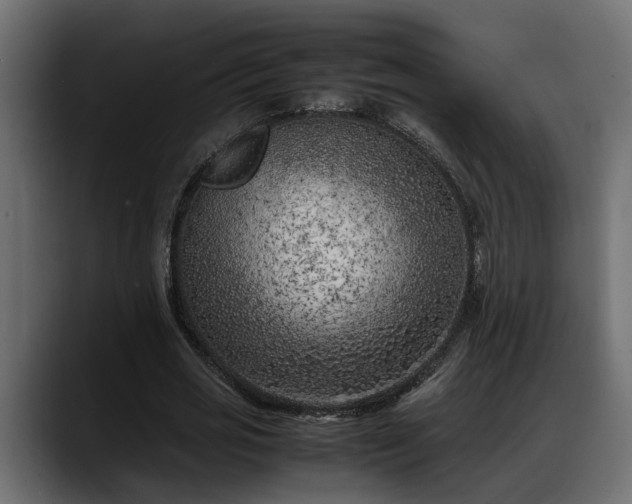 X0000088360725200705291307