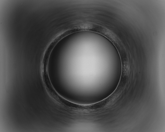 X0000088360726200705291307