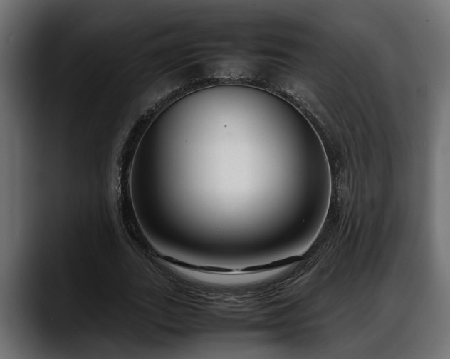 X0000088360727200705291307