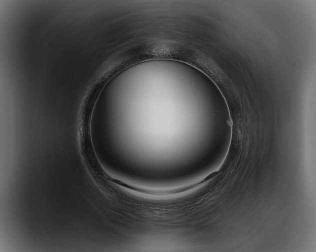 X0000088360728200705291307