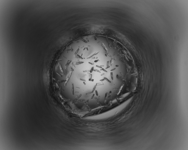 X0000088360729200705291307