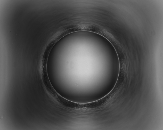 X0000088360730200705291307