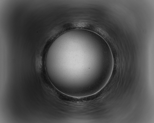 X0000088360731200705291307