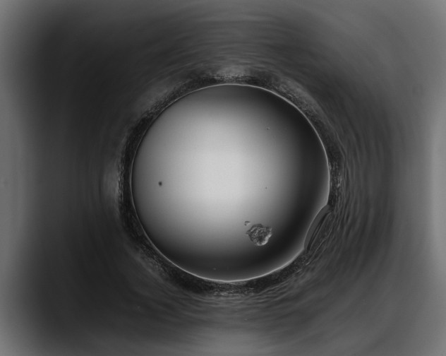 X0000088360732200705291307