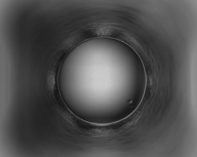 X0000088360733200705291307