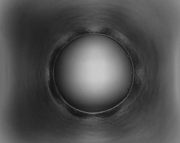 X0000088360734200705291307