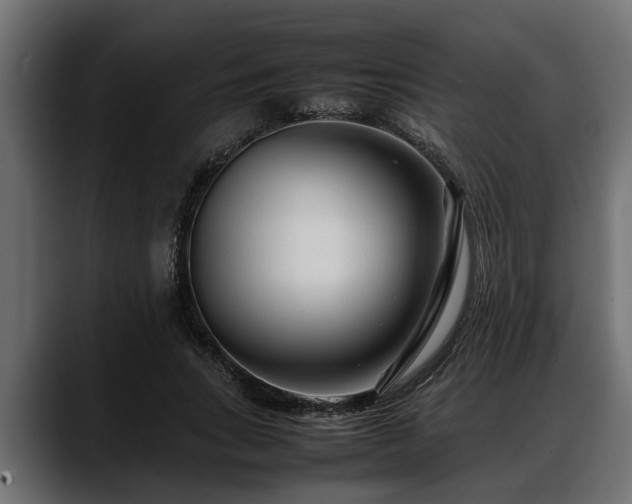 X0000088360735200705291307