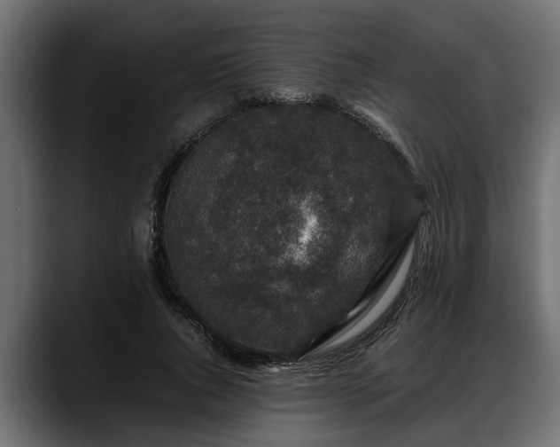 X0000088360736200705291307