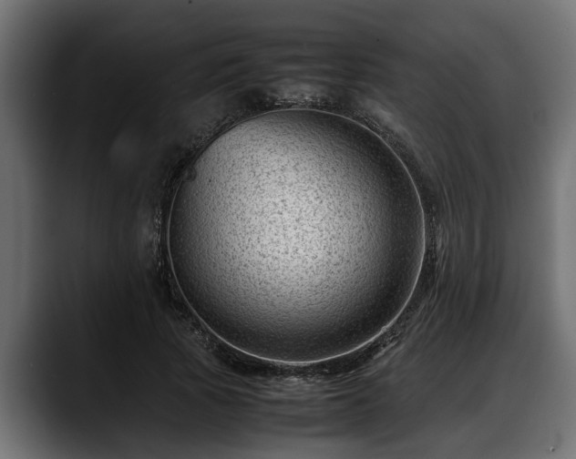 X0000088360737200705291307