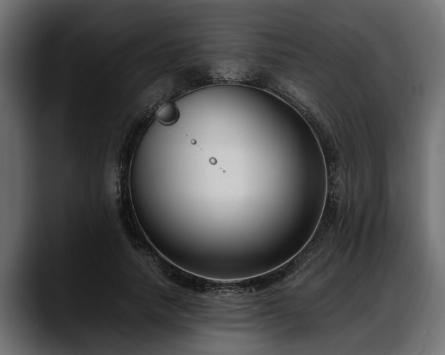 X0000088360738200705291307