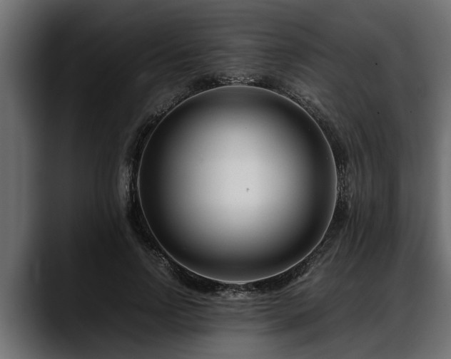 X0000088360742200705291307