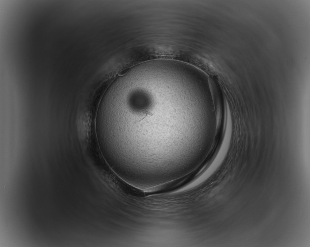 X0000088360744200705291307