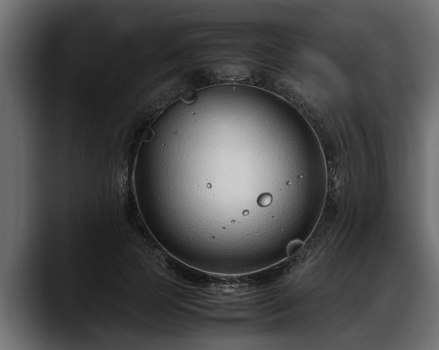 X0000088360745200705291307