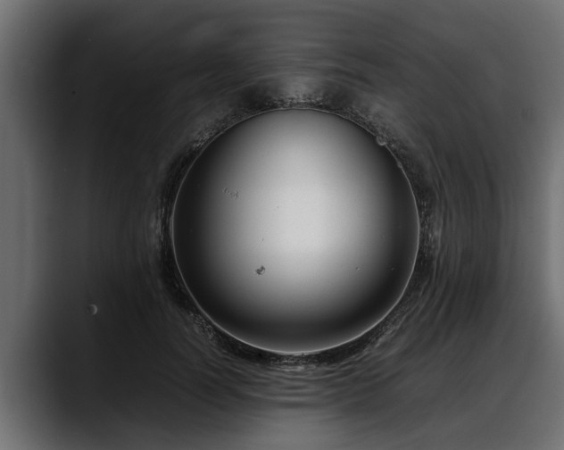 X0000088360746200705291307