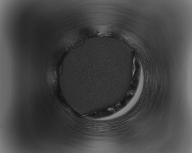 X0000088360748200705291307