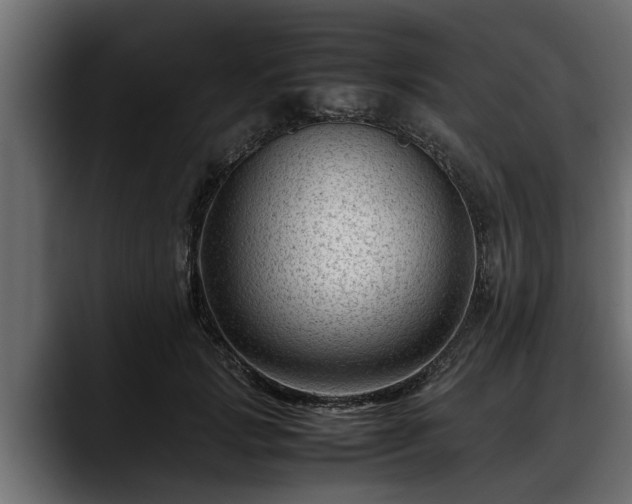 X0000088360749200705291307