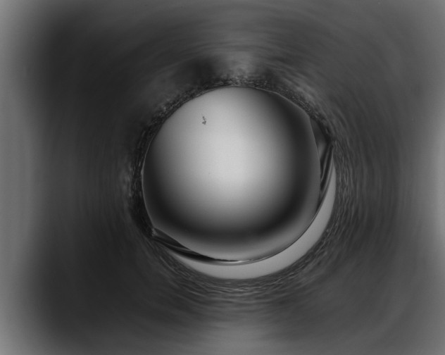 X0000088360750200705291307