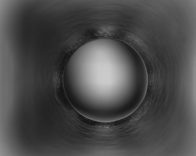 X0000088360751200705291307