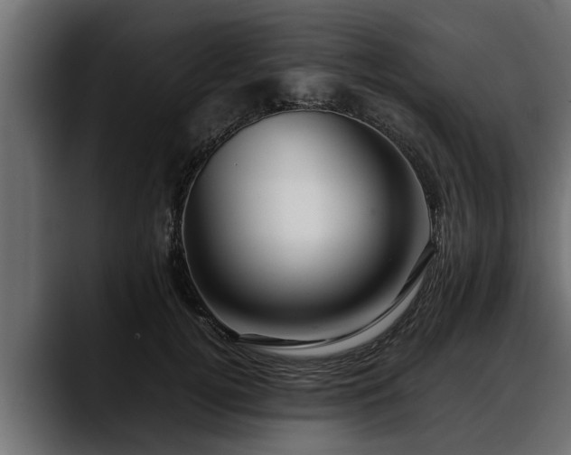 X0000088360752200705291307