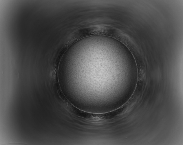 X0000088360753200705291307