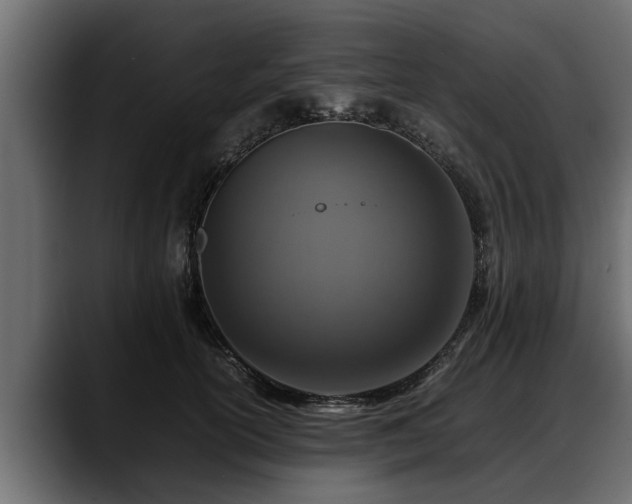 X0000088360754200705291307