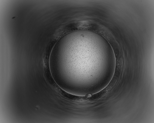 X0000088360755200705291307