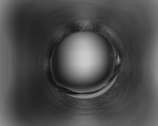 X0000088360756200705291307