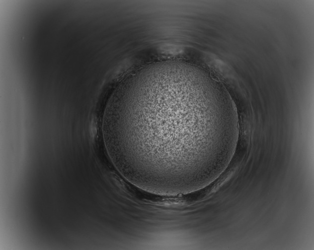 X0000088360758200705291307