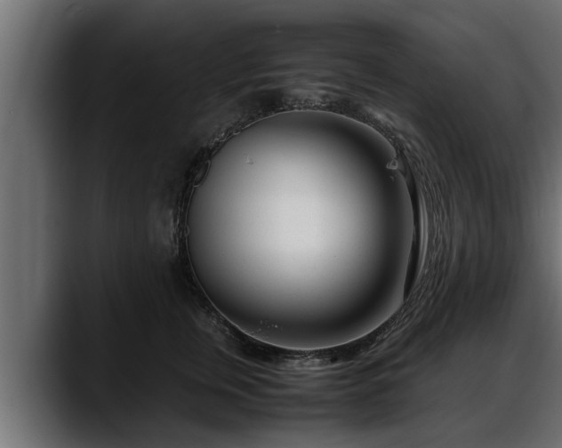 X0000088360759200705291307