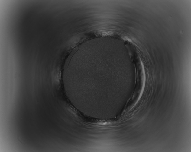 X0000088360760200705291307