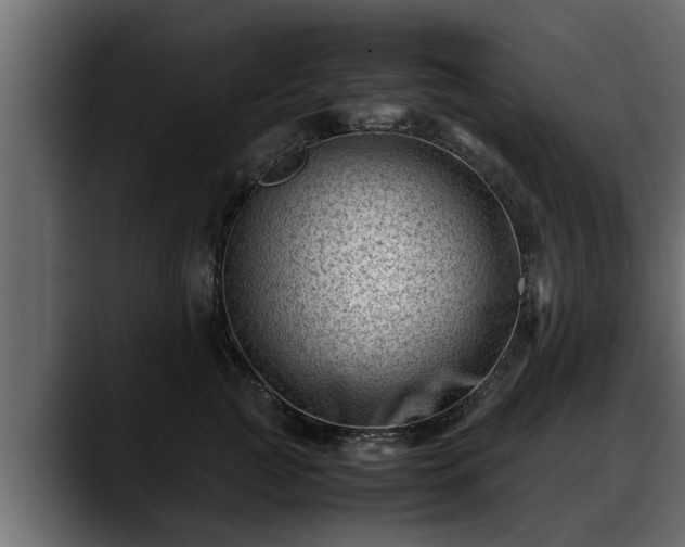 X0000088360761200705291307