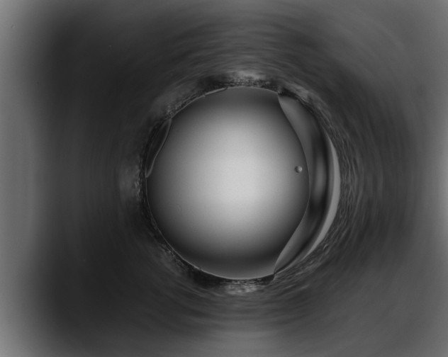 X0000088360762200705291307