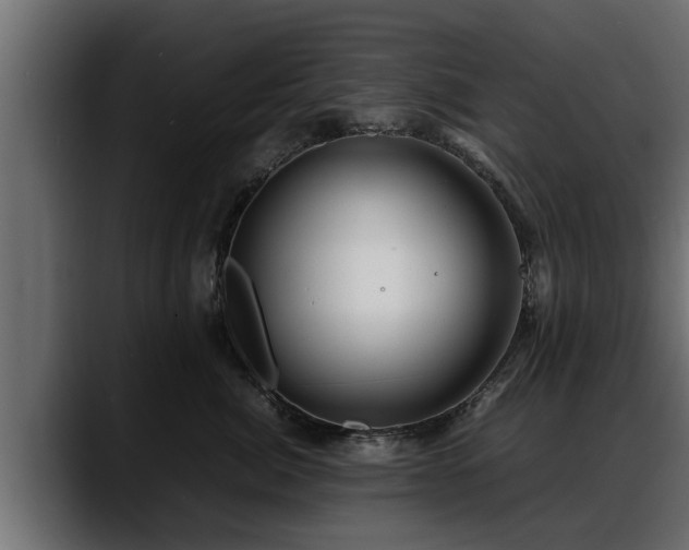 X0000088360764200705291307