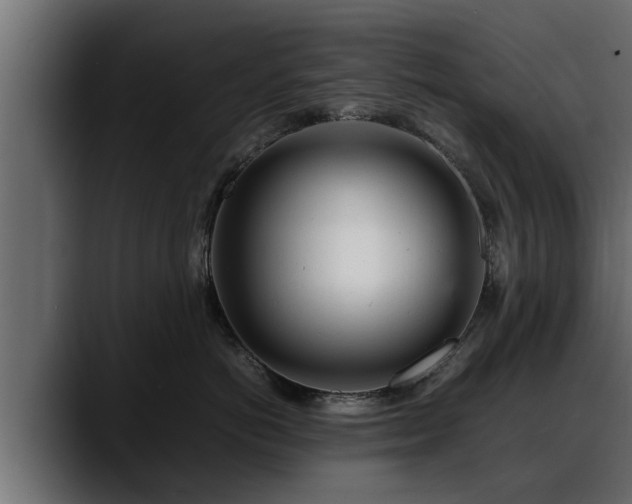 X0000088360766200705291307